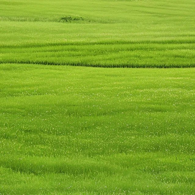 chat with ai character: touch grass