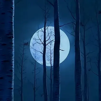 creator 🌌🎑Sleep🎑🌌's avatar