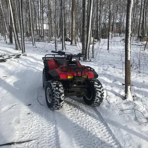 creator Honda fourtrax's avatar