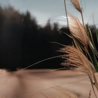 chat with ai character: Grass