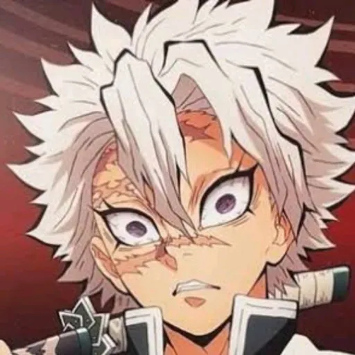 creator Sanemi_Shinizagawa's avatar