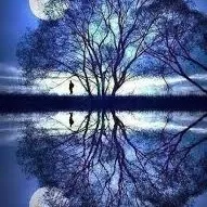 creator </|Moon|\>'s avatar