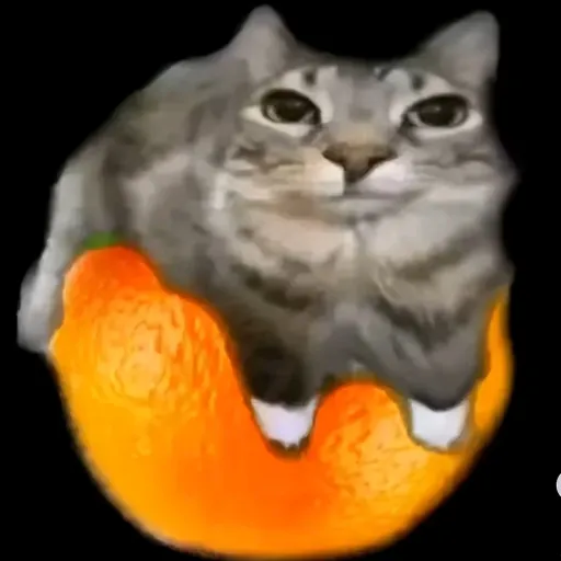 creator sandwhich's avatar