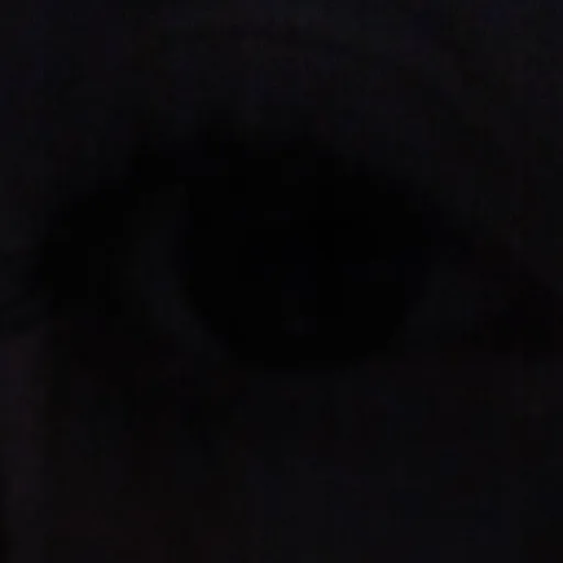 creator The_Silliest_Guy's avatar