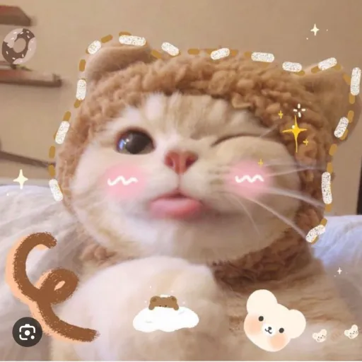 creator 12pompom12's avatar