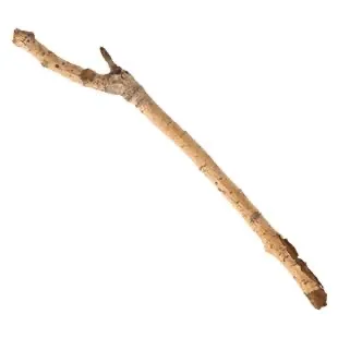 creator A stick's avatar