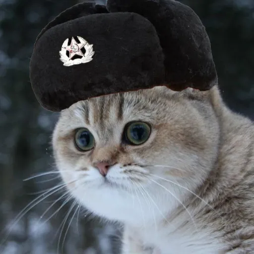 creator SovietFeline's avatar