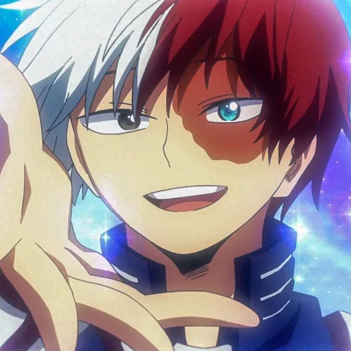 creator I'mShotoTodoroki's avatar