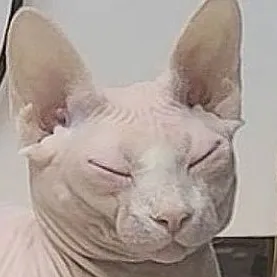 creator Buckley's avatar