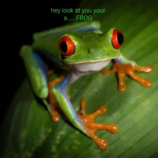 creator lucy parkinson's avatar
