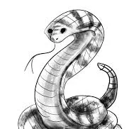 creator RiverLilly's avatar