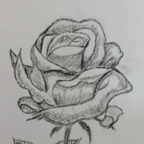 creator Nessabear's avatar