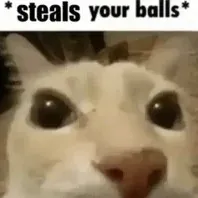 creator Formerly 'Kitler''s avatar