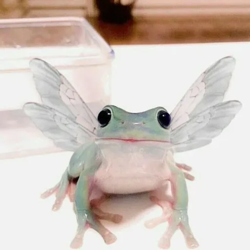 creator +🐸TSUYU🐸+'s avatar