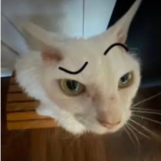 creator Sus kitty🤨?'s avatar