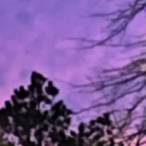 creator Moonie<3's avatar