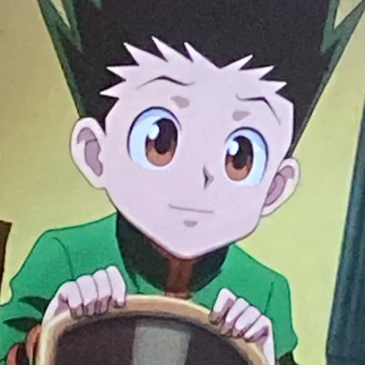 creator Gon Fr3ec5s's avatar