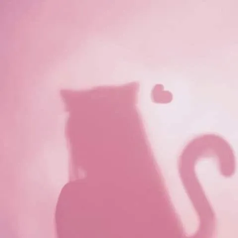 creator LillyChu's avatar