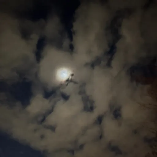 creator XxTH4TCUT134R1xX's avatar