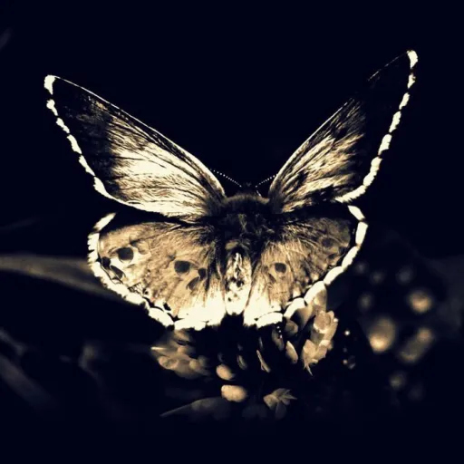 creator Clockwork Spirit's avatar