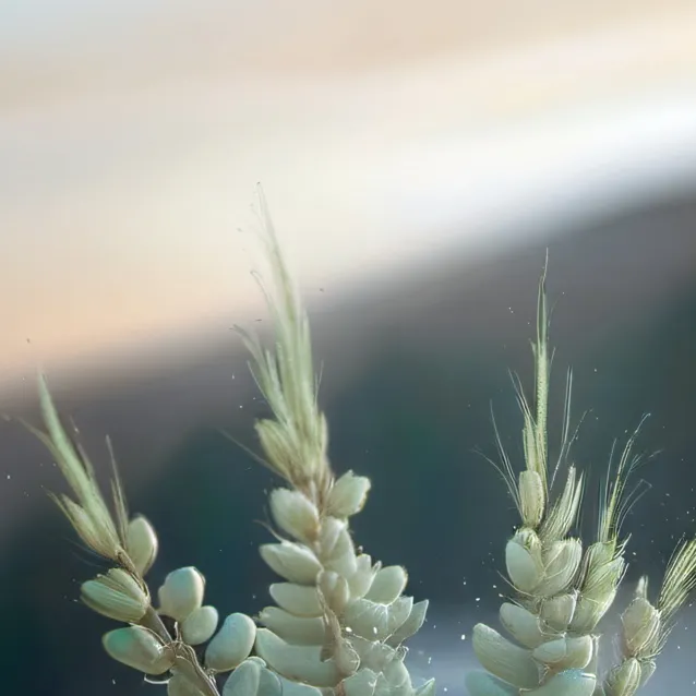 chat with ai character: Valerie