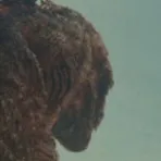 creator Shinzilla's avatar