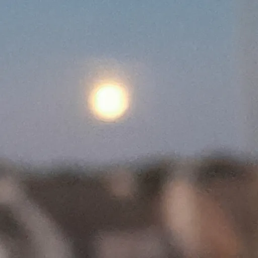creator stars✨ moon🌑's avatar
