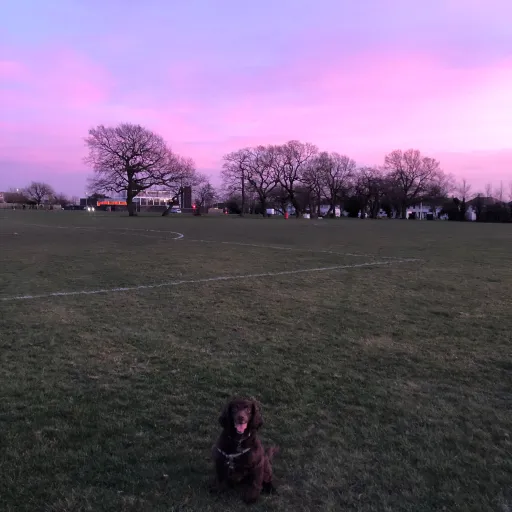 talkie's author avatar