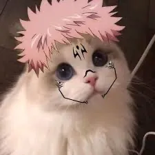 creator Sukcat's avatar