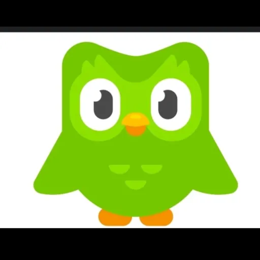 creator U GAY IFU SEE THIS's avatar