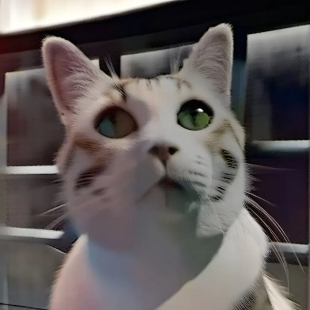 chat with ai character: cat.