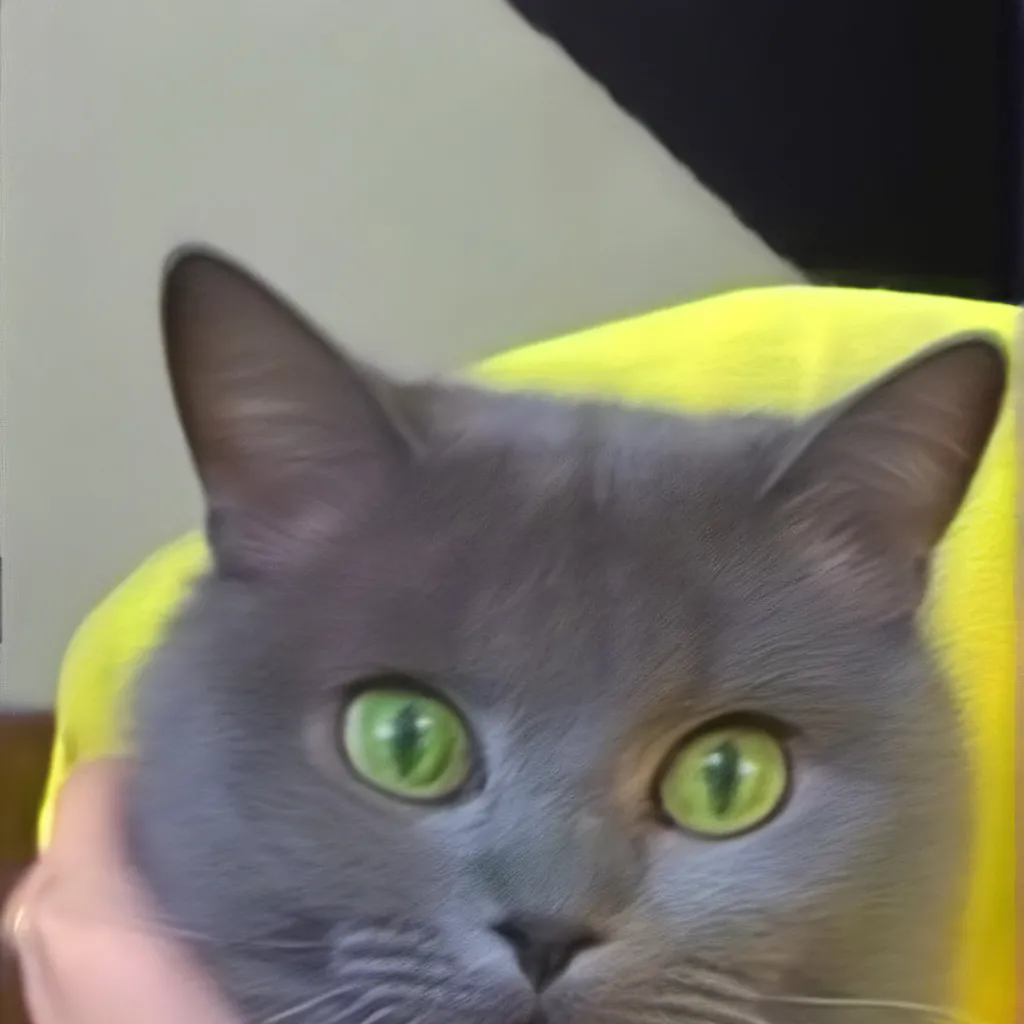 chat with ai character: Ivan the cat