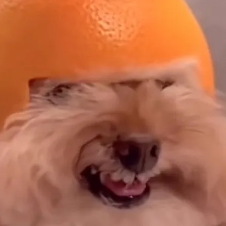creator @CloverPaw's avatar