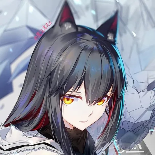creator mysterious wolf's avatar