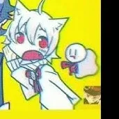 creator cutie furry fan's avatar