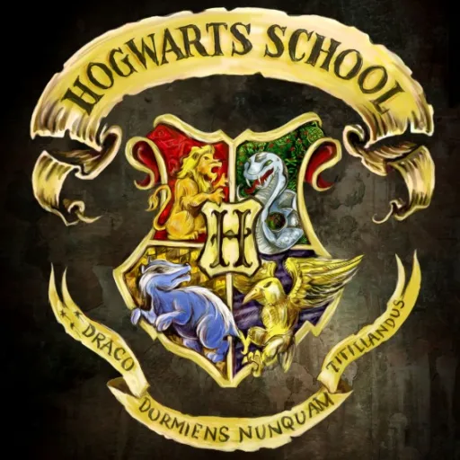 creator hp⚡lover's avatar