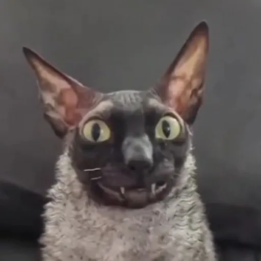 creator bigstinker26's avatar