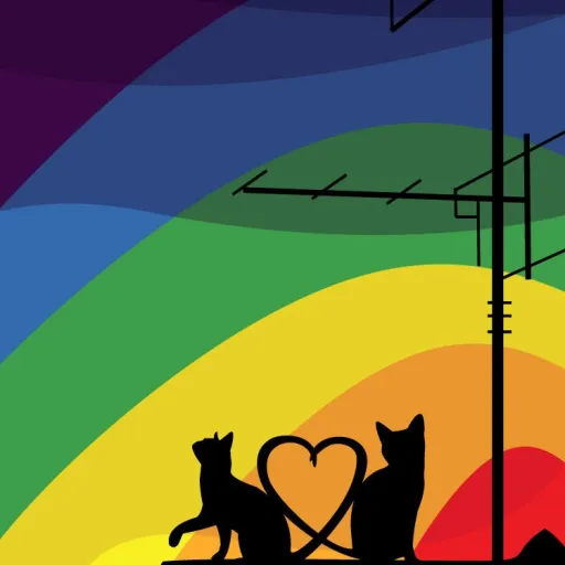 creator gay cats's avatar