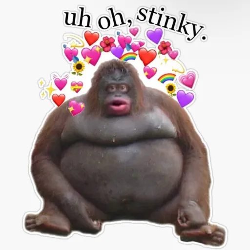 creator STANK's avatar