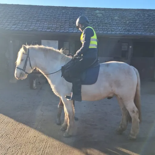 creator Lydia_Irl Ⓐ ᗢ ⧗'s avatar