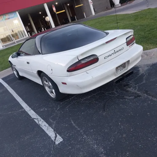 creator Smelly770's avatar