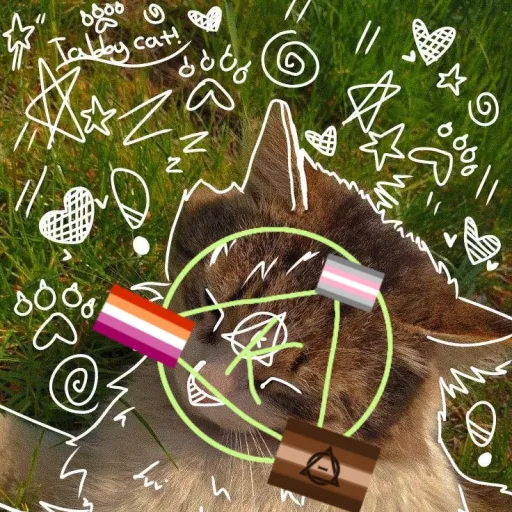 creator Bl4z3rth3K1ttyc4t$'s avatar