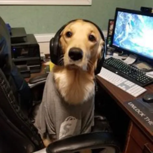 creator ciggytoribbie's avatar