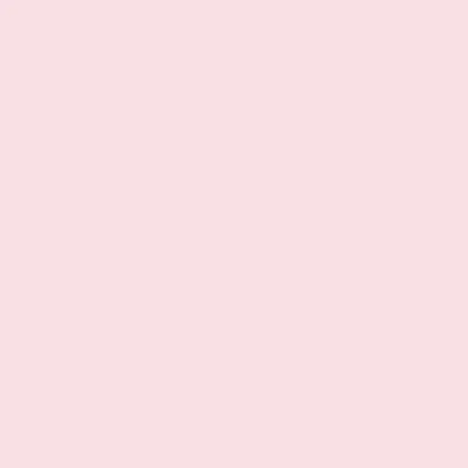 creator y/n……'s avatar