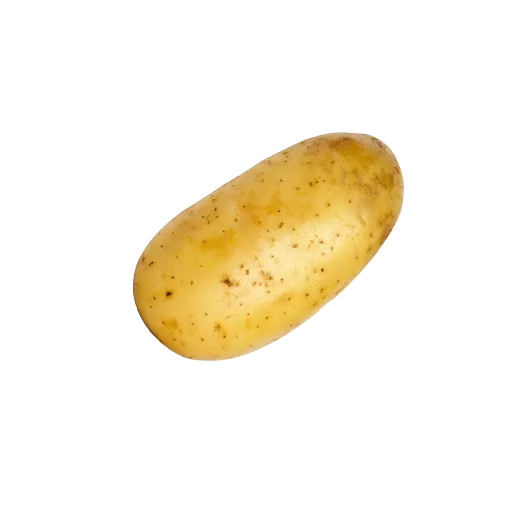 creator the godly potato's avatar