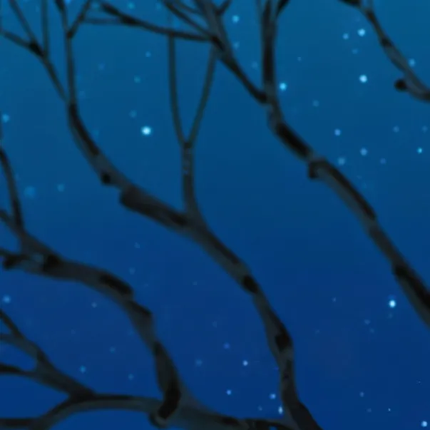 chat with ai character: Pet or owner