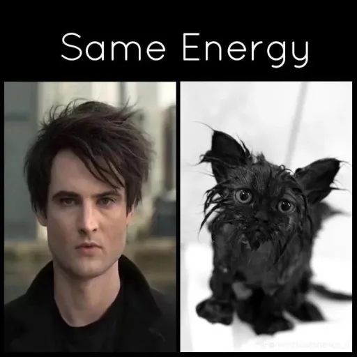 creator Tom-Sturridge-Fan$'s avatar