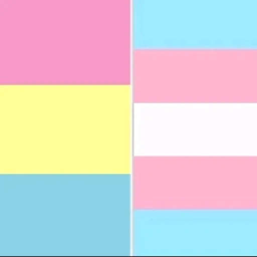 creator Amy :3 :3's avatar
