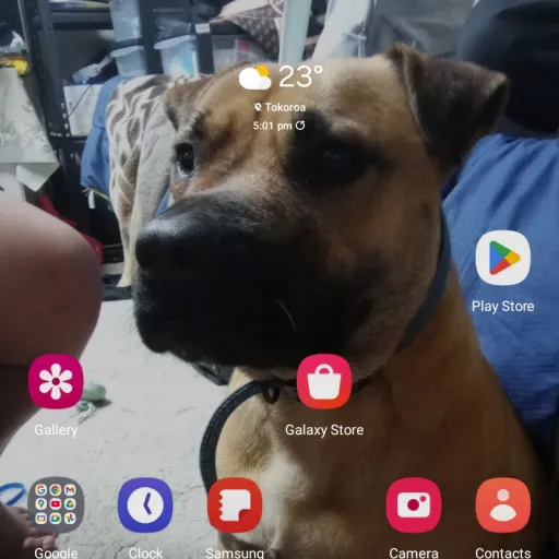 creator Pookies4life!!!!'s avatar