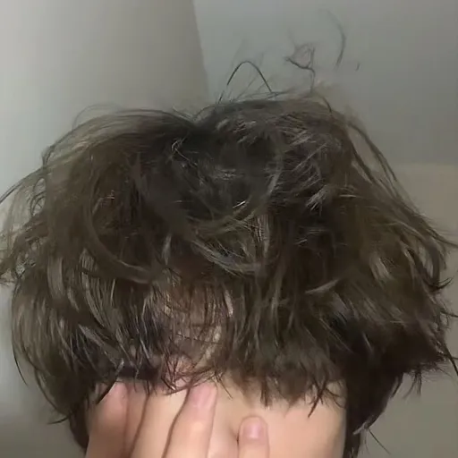 creator N o a h❗🤍's avatar